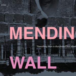 Read more about the article The Mending Wall